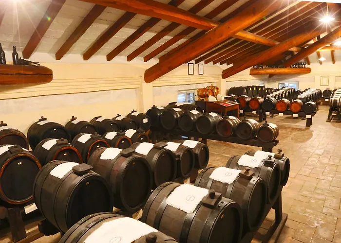 摩德纳中央公园酒店 4*