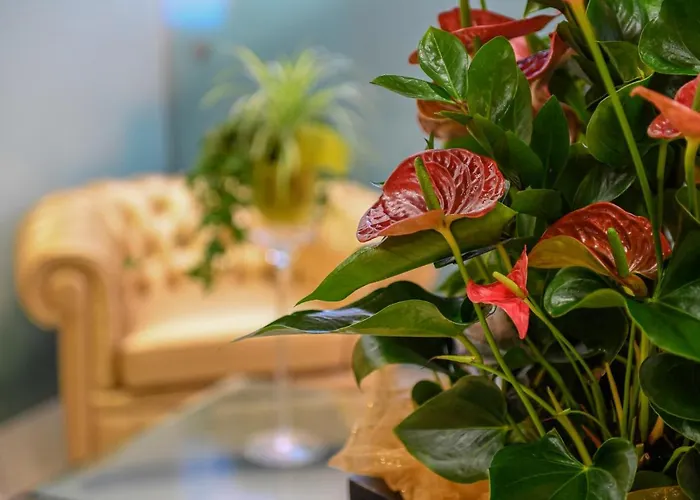 摩德纳中央公园酒店 4* 摩德纳