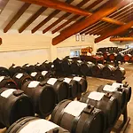 摩德纳中央公园酒店 4*